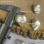 مروارید باروک پرورشی متوسط