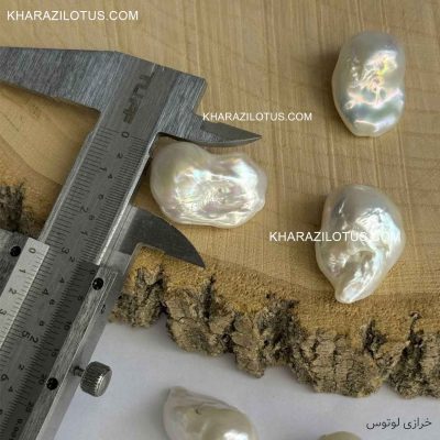 مروارید باروک پرورشی متوسط