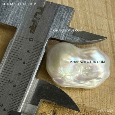 مروارید باروک پرورشی بزرگ