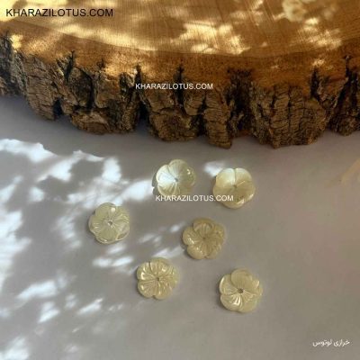 گل صدفی کد 4