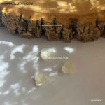 گل صدفی کد 5