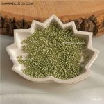 منجوق چک کد 26