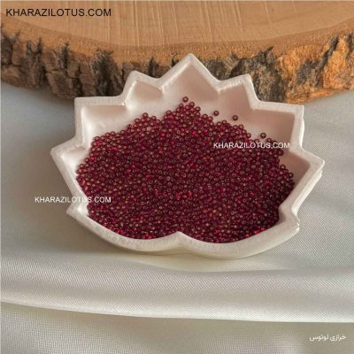 منجوق چک کد 24