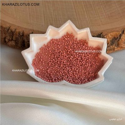 منجوق چک کد 4