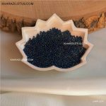 منجوق چک کد 31