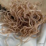 کریستال چک سایز ۲ - کرم طلایی روشن