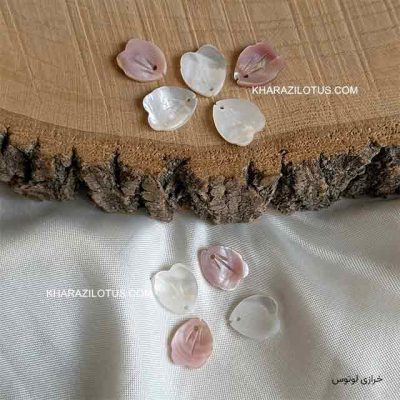 گلبرگ سفید صورتی