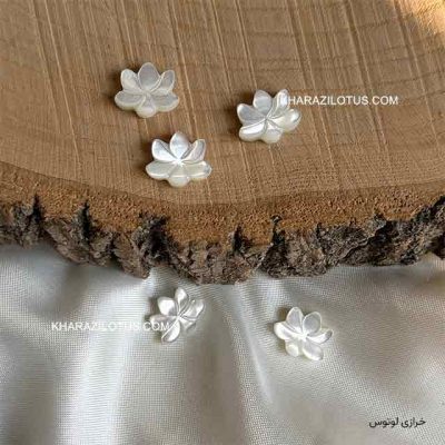 گل سفید لوتوس