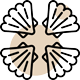صدف خرازی لوتوس