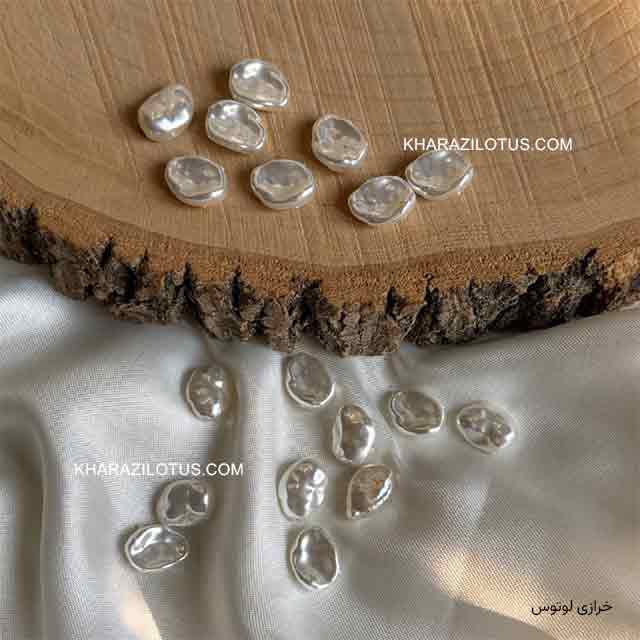 گلبرگ مروارید شل (سفید) گلبرگ مروارید شل (سفید)