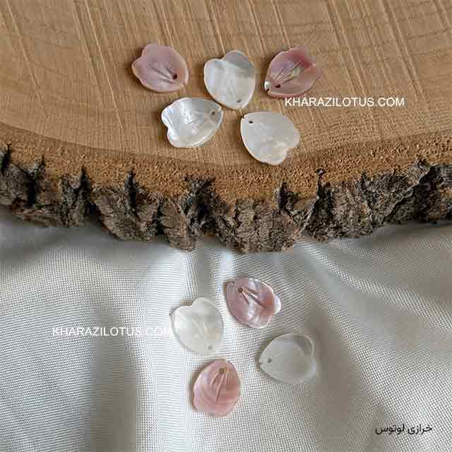 گلبرگ سفید صورتی گلبرگ سفید صورتی