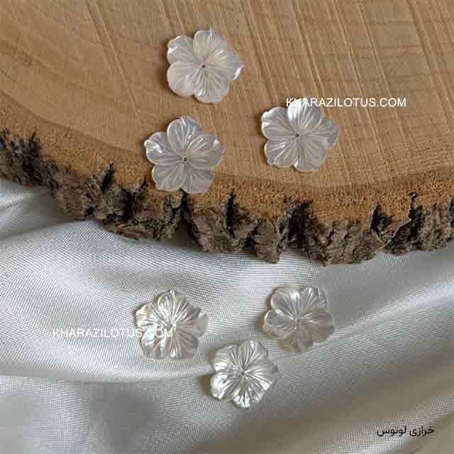 گل سفید (2/5 سانت) گل سفید (2/5 سانت)